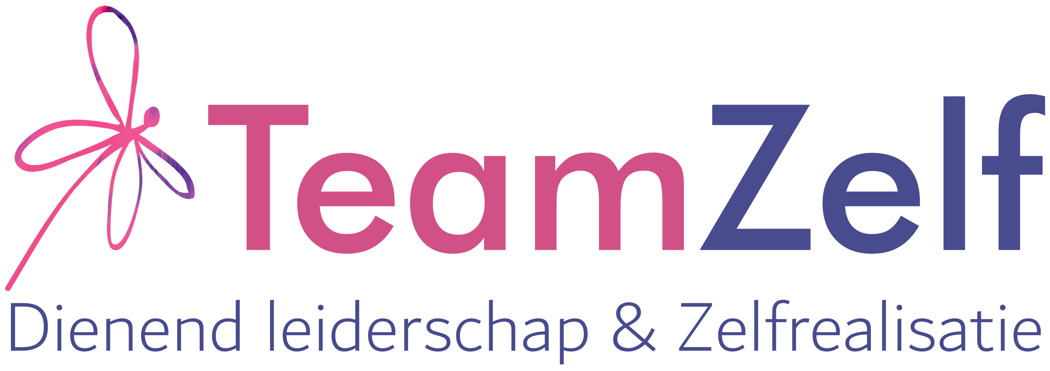 logo-teamzelf
